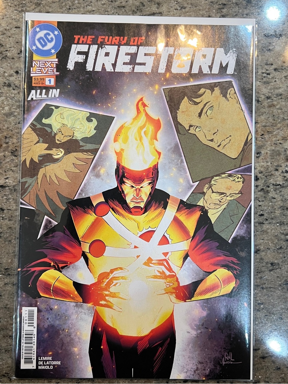 The Fury of Firestorm 1 DC Comics Cover A